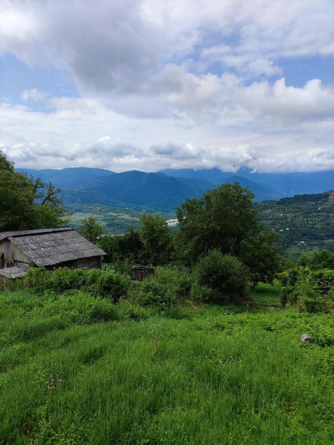 Racha Chogovadze'S Guest House Ambrolauri Dış mekan fotoğraf
